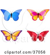 Poster, Art Print Of Four Colorful Butterflies One Red And Sparkly