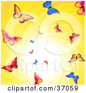 Colorful Butterflies Flying Down A Swirling Yellow Vortex With Bright Light