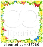 Poster, Art Print Of Border Of Yellow Daisies And Colorful Butterflies Over White
