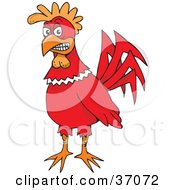 Poster, Art Print Of Friendly Red Rooster