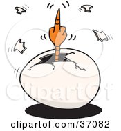 Clipart Illustration Of A Mad Hatching Chick Flipping The Bird While Cracking Out Of An Egg