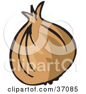 Poster, Art Print Of Fresh And Organic Yellow Onion With The Outer Layers Attached