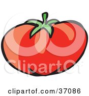 Poster, Art Print Of Plump Red And Juicy Organic Tomato