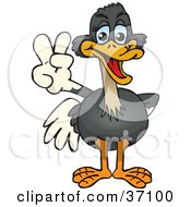Poster, Art Print Of Peaceful Ostrich Smiling And Gesturing The Peace Sign