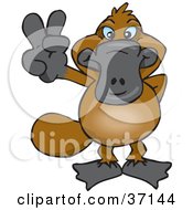 Poster, Art Print Of Peaceful Platypus Smiling And Gesturing The Peace Sign