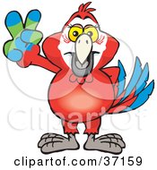 Peaceful Red Macaw Parrot Smiling And Gesturing The Peace Sign