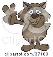 Poster, Art Print Of Peaceful Wombat Smiling And Gesturing The Peace Sign