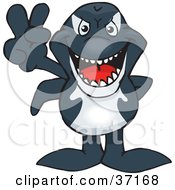 Clipart Illustration Of A Peaceful Orca Whale Smiling And Gesturing The Peace Sign by Dennis Holmes Designs