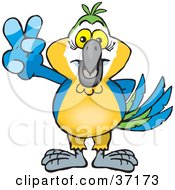 Poster, Art Print Of Peaceful Blue And Yellow Macaw Parrot Smiling And Gesturing The Peace Sign