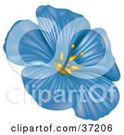 Poster, Art Print Of Blue Anemone Flower