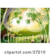 Poster, Art Print Of Asian Landscape With Green Grass Rocks And Bamboo