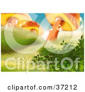 Poster, Art Print Of Lower View Of Windblown Grass Plants And Dew Covered Orange Mushrooms In Sunlight