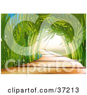 Poster, Art Print Of Wooden Path Leading Through An Arch Of Bamboo Stalks In An Asian Garden