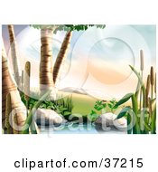 Clipart Illustration Of Birch Trees And Cattail Plants Along The Side Of A Creek