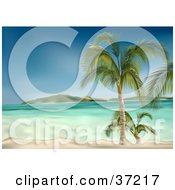 Poster, Art Print Of Clear Blue Waters Washing Up On A White Sandy Beach With Palm Trees An Island In The Distance