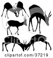 Poster, Art Print Of Scenes Of Antelope Deer Silhouetted In Black