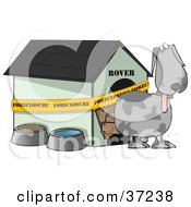 Poster, Art Print Of Confused Gray Dog Standing Outside His Foreclosed House