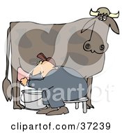 Clipart Illustration Of A Man Sitting On A Bench And Getting Squirt In The Face While Milking A Cow