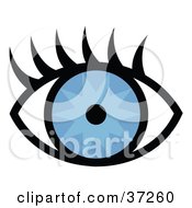 Poster, Art Print Of Pretty Blue Eye With Long Lashes
