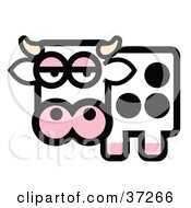 Poster, Art Print Of Black And White Spotted Dairy Cow With Horns Gazing At The Viewer