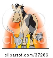 Clipart Illustration Of A Cat Rubbing Against A Horses Leg At Sunset
