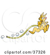 Poster, Art Print Of Fast Kangaroo Hopping Past And Dragging A Tape Measure Along