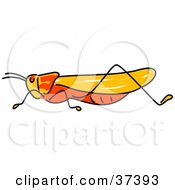 Clipart Illustration Of A Profiled Orange Locust by Prawny