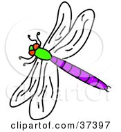 Poster, Art Print Of Purple And Green Dragonfly