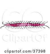 Clipart Illustration Of A Long Pink Centipede by Prawny