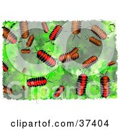 Background Of Pillbugs On Green