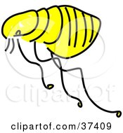 Clipart Illustration Of A Fat Yellow Flea by Prawny