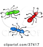 Clipart Illustration Of Green Red And Blue Ants by Prawny