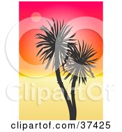 Poster, Art Print Of Palm Tree Silhouetted Against A Gradient Orange And Red Sunset
