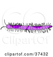 Clipart Illustration Of A Long Purple Millipede