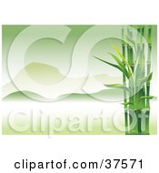 Clipart Illustration Of Green Bamboo Stalks Framing An Asian Landscape Of Foggy Green Mountains by Eugene