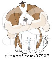 Clipart Illustration Of A Cute Cavalier King Charles Spaniel Puppy Dog Tilting His Head And Biting A Bone