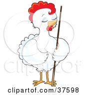 Poster, Art Print Of Pretty White Female Chicken Standing With A Billiards Pool Cue Stick