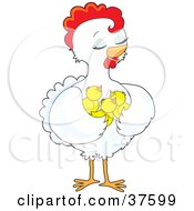 Poster, Art Print Of Pretty White Hen Holding Her Chicks In Her Wings