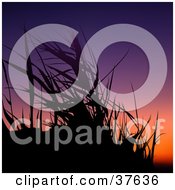 Clipart Illustration Of Black Silhouetted Grasses Against A Colorful Sunset