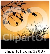 Clipart Illustration Of A Tree Branch And Grasses Silhouetted In Black Against An Orange Sunset