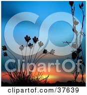 Clipart Illustration Of Weeds Silhouetted In Black Against A Sunset