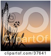 Clipart Illustration Of Tall Grasses Silhouetted In Black Against An Orange Sunset
