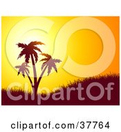 Clipart Illustration Of A Beautiful Orange Sunset Silhouetting A Grassy Hill With Palm Trees