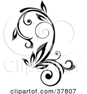 Clipart Illustration of a Black Outline Plant With Curling Stalks by OnFocusMedia #COLLC37807-0049