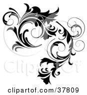 Clipart Illustration Of A Thick Black Curlying Leafy Vine