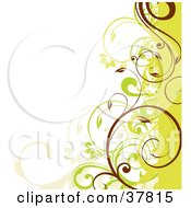 Poster, Art Print Of Green Beige And Brown Curly Vined Edge