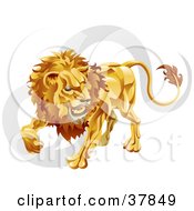Leo The Lion With The Zodiac Symbol
