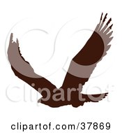 Poster, Art Print Of Dark Brown Eagle Silhouette