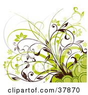 Poster, Art Print Of Green And Brown Corner Of Flowers Plants And Circles