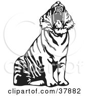 Poster, Art Print Of Yawning Black And White Tiger